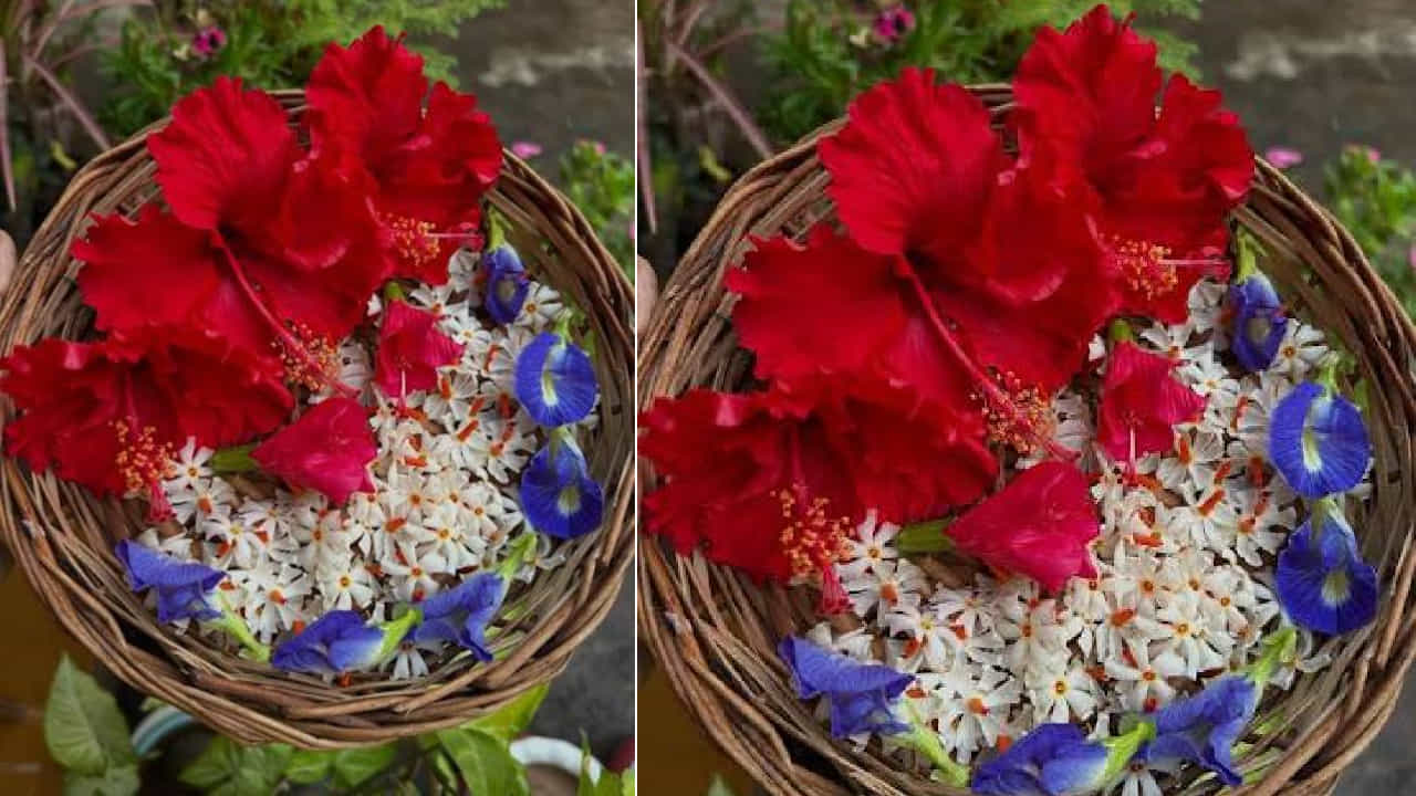 Traditional Reasons: ಪೂಜೆಯಲ್ಲಿ ದೇವರಿಗೆ ಬಳಸುವ  ಹೂವುಗಳನ್ನು ಏಕೆ ನೀರಿನಿಂದ ತೊಳೆಯಬಾರದು?