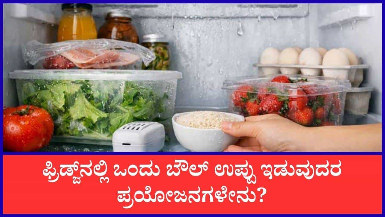 ಮಳೆಗಾಲದಲ್ಲಿ ಫ್ರಿಡ್ಜ್‌ನಲ್ಲಿ ಒಂದು ಬೌಲ್‌ ಕಲ್ಲುಪ್ಪು ಇಡುವುದರಿಂದ ಏನಾಗುತ್ತದೆ ಗೊತ್ತಾ?