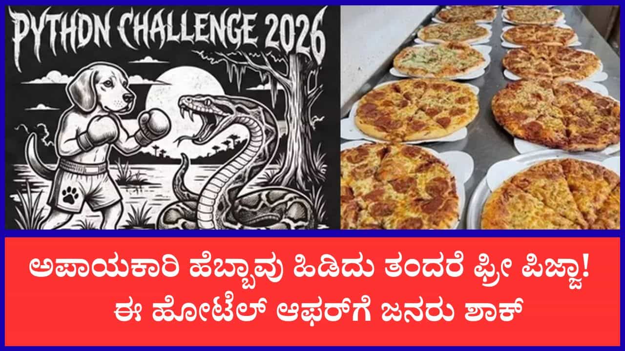 ಹಣ ಬೇಡ, ಹೆಬ್ಬಾವು ಕೊಡಿ, ಉಚಿತ ಪಿಜ್ಜಾ ಪಡೆಯಿರಿ! ಈ ರೆಸ್ಟೋರೆಂಟ್‌ನ ವಿಚಿತ್ರ ಆಫರ್