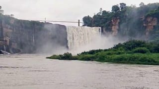 ಪಶ್ಚಿಮ ಘಟ್ಟದಲ್ಲಿ ಮಳೆಯ ಅಬ್ಬರ: ಹಾಲ್ನೊರೆಯಂತೆ ಧುಮ್ಮಿಕ್ಕಿದ ಗೋಕಾಕ್ ಜಲಪಾತ