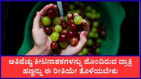 ದ್ರಾಕ್ಷಿ ಹಣ್ಣನ್ನು ತೊಳೆಯುವ ಸರಿಯಾದ ಕ್ರಮ