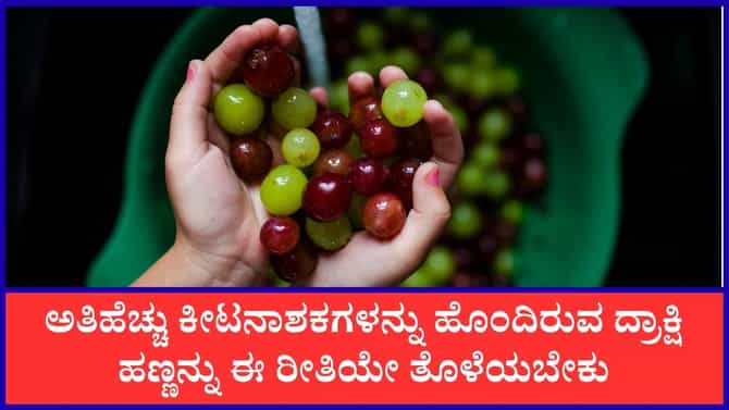 ದ್ರಾಕ್ಷಿ ಹಣ್ಣನ್ನು ತೊಳೆಯುವ ಸರಿಯಾದ ಕ್ರಮ