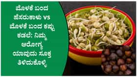 ಮೊಳಕೆ ಬಂದ ಹೆಸರುಕಾಳು vs ಕಪ್ಪು ಕಡಲೆ: ಆರೋಗ್ಯಕ್ಕೆ ಯಾವುದು ಬೆಸ್ಟ್?