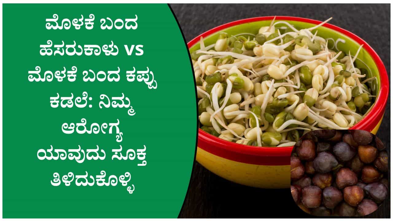 ಮೊಳಕೆಯೊಡೆದ ಹೆಸರುಕಾಳು vs ಮೊಳಕೆ ಬಂದ ಕಪ್ಪು ಕಡಲೆ: ಯಾವುದು ನಿಜವಾದ ಸೂಪರ್‌ಫುಡ್ ತಿಳಿದುಕೊಳ್ಳಿ