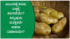 ಹಸಿರು ಬಣ್ಣಕ್ಕೆ ತಿರುಗಿದ ಆಲೂಗಡ್ಡೆಯನ್ನು ತಿನ್ನುವುದು ಸುರಕ್ಷಿತವೇ?