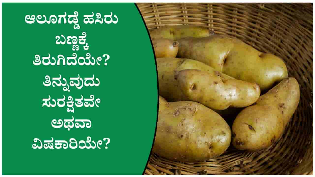 ಆಲೂಗಡ್ಡೆ ಹಸಿರು ಬಣ್ಣಕ್ಕೆ ತಿರುಗಿದರೆ ಅದನ್ನು ತಿನ್ನುವುದು ಸುರಕ್ಷಿತವೇ ಅಥವಾ ವಿಷಕಾರಿಯೇ ತಿಳಿದುಕೊಳ್ಳಿ