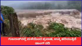 ಗುಜರಾತ್​​ನಲ್ಲಿ ಮಳೆಯಿಂದ ಪ್ರವಾಹ, ಉಕ್ಕಿ ಹರಿಯುತ್ತಿದೆ ಡಾಂಗ್ ನದಿ