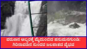 ಹಸಿರ ಮಡಿಲಲ್ಲಿ ಹಾಲಿನ ಹೊನಲು: ಮನಸೆಳೆಯುತ್ತಿದೆ ಕುದುರೆಮುಖದ ಹನುಮನಗುಂಡಿ ಜಲಪಾತ