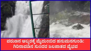 ಹಸಿರ ಮಡಿಲಲ್ಲಿ ಹಾಲಿನ ಹೊನಲು: ಮನಸೆಳೆಯುತ್ತಿದೆ ಕುದುರೆಮುಖದ ಹನುಮನಗುಂಡಿ ಜಲಪಾತ