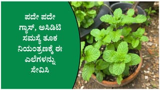 ಪದೇ ಪದೇ ಗ್ಯಾಸ್‌, ಅಸಿಡಿಟಿ ಸಮಸ್ಯೆಯಿಂದ ಬಳಲುತ್ತಿದ್ದರೆ ಪುದೀನಾ ಎಲೆಗಳನ್ನು ಈ ರೀತಿ ಸೇವಿಸಿ