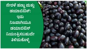 ನೇರಳೆ ಹಣ್ಣು ಶುಗರ್ ನಿಯಂತ್ರಿಸುತ್ತದೆಯೇ? ತಜ್ಞರು ನೀಡಿದ ಮಾಹಿತಿ ಇಲ್ಲಿದೆ