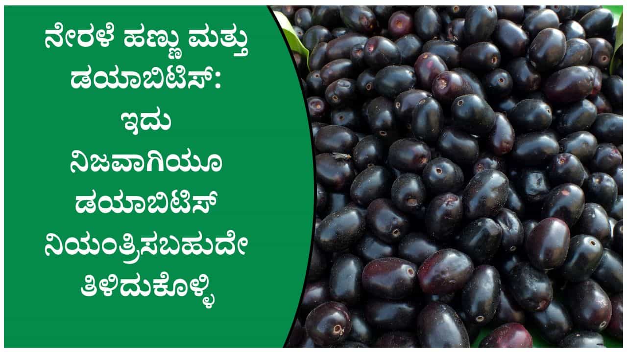 ನೇರಳೆ ಹಣ್ಣು ತಿಂದರೆ ನಿಜವಾಗಿಯೂ ಡಯಾಬಿಟಿಸ್ ನಿಯಂತ್ರಿಸಬಹುದೇ? ನೇರಳೆ ಹಣ್ಣು ತಿಂದರೆ ನಿಜವಾಗಿಯೂ ಡಯಾಬಿಟಿಸ್ ನಿಯಂತ್ರಿಸಬಹುದೇ?