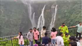 ಜೋಗ ಜಲಪಾತದ ಜಲವೈಭವ ಕಣ್ತುಂಬಿಕೊಂಡ ಪ್ರವಾಸಿಗರು