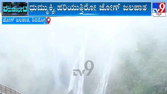 ಧುಮ್ಮುಕ್ಕಿ ಹರಿಯುತ್ತಿರೋ ಜೋಗ ಜಲಪಾತ!