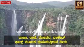 ವಿಶ್ವ ವಿಖ್ಯಾತ  ಜೋಗ್ ಫಾಲ್ಸ್  ಗೆ ರಾಜಕಳೆ, ರಾಜ, ರಾಣಿ, ರೋರರ್, ರಾಕೆಟ್ ಭೋರ್ಗರೆತ