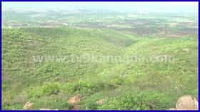 ಬರದ ನಡುವೆಯೂ ಊಟಿಯ ಅನುಭವ ನೀಡುತ್ತಿದೆ ಚಿತ್ರದುರ್ಗದ ಜೋಗಿಮಟ್ಟಿ!