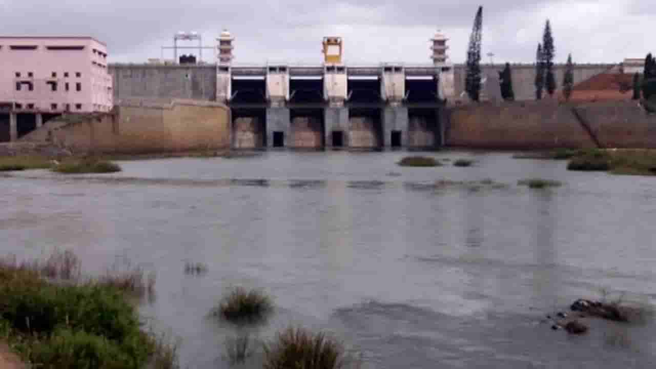 Karnataka Dam Water Level: ಕೆಆರ್ಎಸ್ನಲ್ಲಿ ನೀರಿನ ಅಭಾವದ ಭೀತಿ: ಆಲಮಟ್ಟಿ ಭರ್ತಿ!