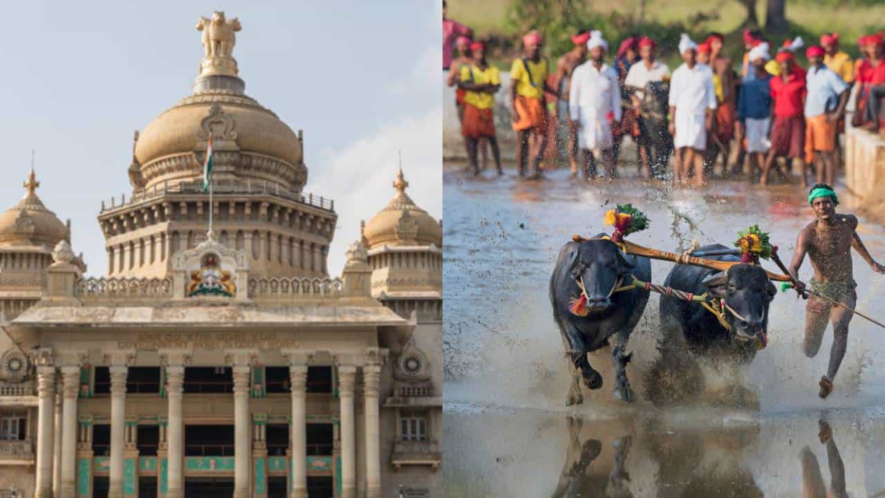 ಕರಾವಳಿ ಕಂಬಳ ಆಯೋಜಕರಿಗೆ ಸರ್ಕಾರ ಗುಡ್ನ್ಯೂಸ್! 1.15 ಕೋಟಿ ರೂ ಅನುದಾನ ಘೋಷಣೆ ಕರಾವಳಿ ಕಂಬಳ ಆಯೋಜಕರಿಗೆ ಸರ್ಕಾರ ಗುಡ್ನ್ಯೂಸ್! 1.15 ಕೋಟಿ ರೂ ಅನುದಾನ ಘೋಷಣೆ