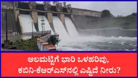 ಕೃಷ್ಣಾ ನದಿಗೆ ಹರಿದುಬಂತು 88 ಸಾವಿರ ಕ್ಯೂಸೆಕ್ ನೀರು