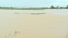 ಕರಾವಳಿ, ಮಲೆನಾಡಲ್ಲಿ ಮುಂದುವರಿಯಲಿದೆ ಮಳೆ ಆರ್ಭಟ