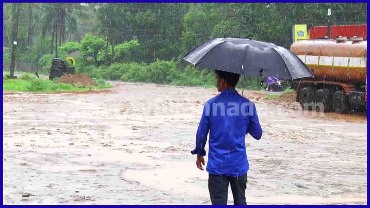 Karnataka Weather Forecast: ಕರಾವಳಿ-ಮಲೆನಾಡಿನಲ್ಲಿ ಭಾರೀ ಮಳೆ ಮುನ್ಸೂಚನೆ, ದಕ್ಷಿಣ ಕನ್ನಡದಲ್ಲಿ ಶಾಲೆ-ಕಾಲೇಜುಗಳಿಗೆ ರಜೆ