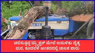 ಬೆಳಗಾವಿ: ಚಲಿಸುತ್ತಿದ್ದ ಟ್ರ್ಯಾಕ್ಟರ್ ಮೇಲೆ ಮುರಿದು ಬಿದ್ದ ದೈತ್ಯ ಮರ!; ಚಾಲಕ ಅದೃಷ್ಟವಶಾತ್ ಪ್ರಾಣಾಪಾಯದಿಂದ ಪಾರು