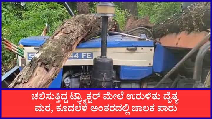 ಬೆಳಗಾವಿ: ಚಲಿಸುತ್ತಿದ್ದ ಟ್ರ್ಯಾಕ್ಟರ್ ಮೇಲೆ ಮುರಿದು ಬಿದ್ದ ದೈತ್ಯ ಮರ!; ಚಾಲಕ ಅದೃಷ್ಟವಶಾತ್ ಪ್ರಾಣಾಪಾಯದಿಂದ ಪಾರು ಬೆಳಗಾವಿ: ಚಲಿಸುತ್ತಿದ್ದ ಟ್ರ್ಯಾಕ್ಟರ್ ಮೇಲೆ ಮುರಿದು ಬಿದ್ದ ದೈತ್ಯ ಮರ!; ಚಾಲಕ ಅದೃಷ್ಟವಶಾತ್ ಪ್ರಾಣಾಪಾಯದಿಂದ ಪಾರು