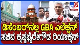 ರಾಜಕೀಯವಾಗಿ ನಾವು ಸಿದ್ದರಿದ್ದೇವೆ: SIR ಮುಗಿದ ತಕ್ಷಣ ಜಿಬಿಎ ಎಲೆಕ್ಷನ್ ಎಂದ ಕೃಷ್ಣಬೈರೇಗೌಡ