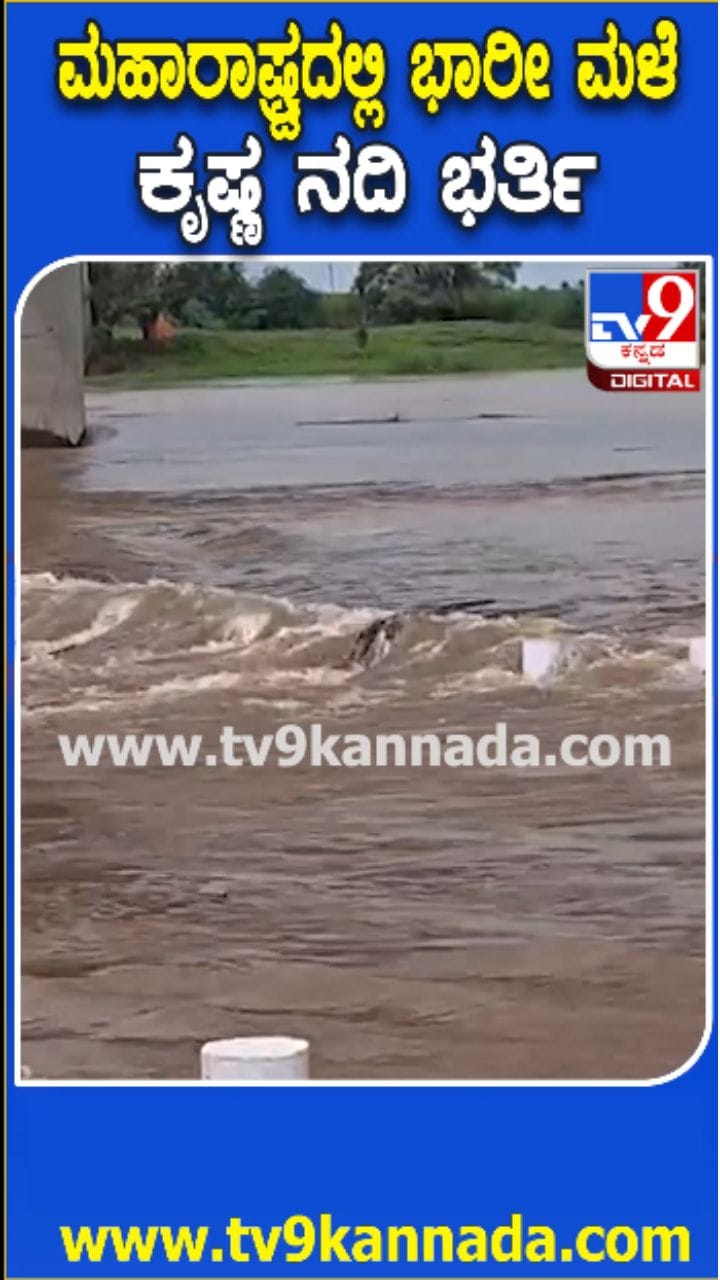 ಕೃಷ್ಣಾ ನದಿ ಪ್ರವಾಹಕ್ಕೆ ಸೇತುವೆ ಜಲಾವೃತ