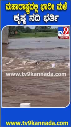 ಕೃಷ್ಣಾ ನದಿ ಪ್ರವಾಹಕ್ಕೆ ಸೇತುವೆ ಜಲಾವೃತ