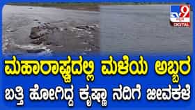 ಮಹಾರಾಷ್ಟ್ರ ಘಟ್ಟಪ್ರದೇಶದಲ್ಲಿ ಮಳೆ ಅಬ್ಬರ: 2 ತಿಂಗಳಿನಿಂದ ಬತ್ತಿದ್ದ ಕೃಷ್ಣಾ ನದಿಗೆ ಜೀವ ಕಳೆ, 15 ಸಾವಿರ ಕ್ಯೂಸೆಕ್ ಒಳ ಹರಿವು