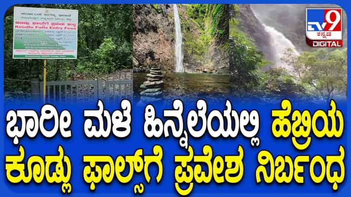 ಮನಮೋಹಕವಾಗಿ ಕಾಣುವ ಕೂಡ್ಲು ಫಾಲ್ಸ್ ಅಷ್ಟೇ ಅಪಾಯಕಾರಿ, ಪ್ರವಾಸಿಗರಿಗೆ ನಿಷೇಧ ಮನಮೋಹಕವಾಗಿ ಕಾಣುವ ಕೂಡ್ಲು ಫಾಲ್ಸ್ ಅಷ್ಟೇ ಅಪಾಯಕಾರಿ, ಪ್ರವಾಸಿಗರಿಗೆ ನಿಷೇಧ