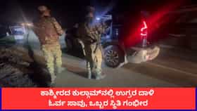 ಕಾಶ್ಮೀರದ ಕುಲ್ಗಾಮ್‌ನಲ್ಲಿ ಭಯೋತ್ಪಾದಕರ ದಾಳಿ; ವಲಸೆ ಕಾರ್ಮಿಕ ಸಾವು