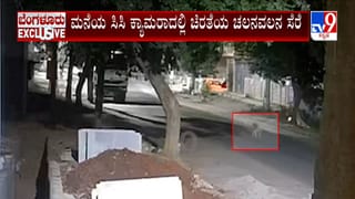 ಬೆಂಗಳೂರಿನ ಬ್ಯಾಡರಹಳ್ಳಿಯಲ್ಲಿ ಐದನೇ ಬಾರಿ ಚಿರತೆ ಪ್ರತ್ಯಕ್ಷ: ನಿವಾಸಿಗಳಲ್ಲಿ ಹೆಚ್ಚಿದ ಆತಂಕ