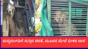 ಮದ್ಯದಂಗಡಿಗೆ ನುಗ್ಗಿದ ಚಿರತೆ, ಮೂವರ ಮೇಲೆ ಭೀಕರ ದಾಳಿ