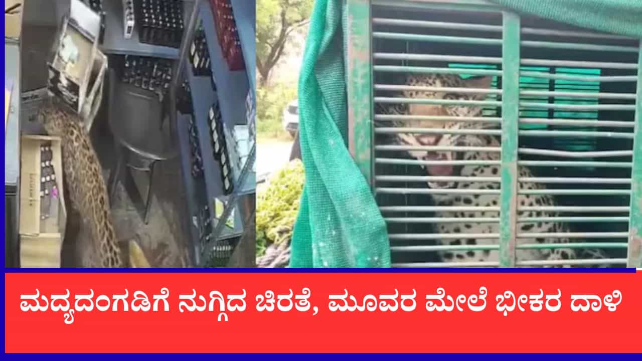 ಮದ್ಯದಂಗಡಿಗೆ ನುಗ್ಗಿದ ಚಿರತೆ, ಮೂವರ ಮೇಲೆ ಭೀಕರ ದಾಳಿ, 5 ಗಂಟೆಗಳ ಕಾರ್ಯಾಚರಣೆ ಬಳಿಕ ಸೆರೆ ಮದ್ಯದಂಗಡಿಗೆ ನುಗ್ಗಿದ ಚಿರತೆ, ಮೂವರ ಮೇಲೆ ಭೀಕರ ದಾಳಿ, 5 ಗಂಟೆಗಳ ಕಾರ್ಯಾಚರಣೆ ಬಳಿಕ ಸೆರೆ