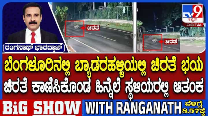 ಬ್ಯಾಡರಹಳ್ಳಿ ಜನರಿಗೆ ಎದುರಾಯ್ತು ಚಿರತೆ ಭಯ! ಬ್ಯಾಡರಹಳ್ಳಿ ಜನರಿಗೆ ಎದುರಾಯ್ತು ಚಿರತೆ ಭಯ!