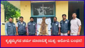ಕೃಷ್ಣಮೃಗದ ಚರ್ಮ ಮಾರಾಟಕ್ಕೆ ಯತ್ನ: ಆರೋಪಿ ಬಂಧನ!