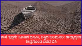 ಎಲ್ಲೆಡೆ ಬರಗಾಲದ ತೀವ್ರತೆ, ಕಂಗಾಲಾದ ಅನ್ನದಾತ!