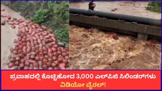 ರಾಯಗಢ ಪ್ರವಾಹದಲ್ಲಿ ಕೊಚ್ಚಿಹೋದ 3,000 ಎಲ್‌ಪಿಜಿ ಸಿಲಿಂಡರ್‌ಗಳು; ವಿಡಿಯೋ ವೈರಲ್!
