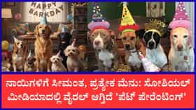 ಮನುಷ್ಯರಿಗಿಂತ ನಾಯಿಗಳ ಬರ್ತ್‌ಡೇಗೇ ಭಾರಿ ಡಿಮ್ಯಾಂಡ್