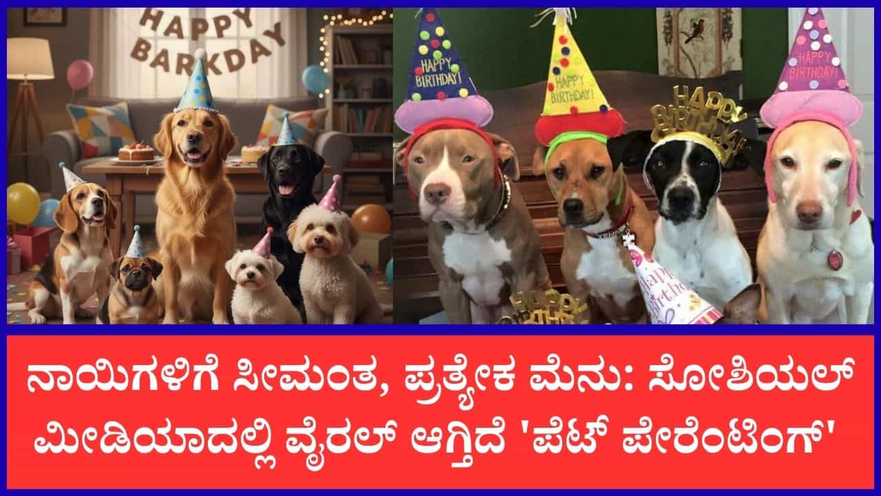 ಮನುಷ್ಯರಿಗಿಂತ ನಾಯಿಗಳ ಬರ್ತ್‌ಡೇಗೇ ಭಾರಿ ಡಿಮ್ಯಾಂಡ್: ಬೊಮ್ಮನಹಳ್ಳಿಯಿಂದ ಮುಂಬೈವರೆಗೆ ವೈಭವದ 'ಪೆಟ್ ಪಾರ್ಟಿ' ಕ್ರೇಜ್