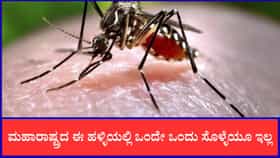 ಮಹಾರಾಷ್ಟ್ರದ ಈ ಹಳ್ಳಿಯಲ್ಲಿ ಒಂದೇ ಒಂದು ಸೊಳ್ಳೆಯೂ ಇಲ್ಲವಂತೆ