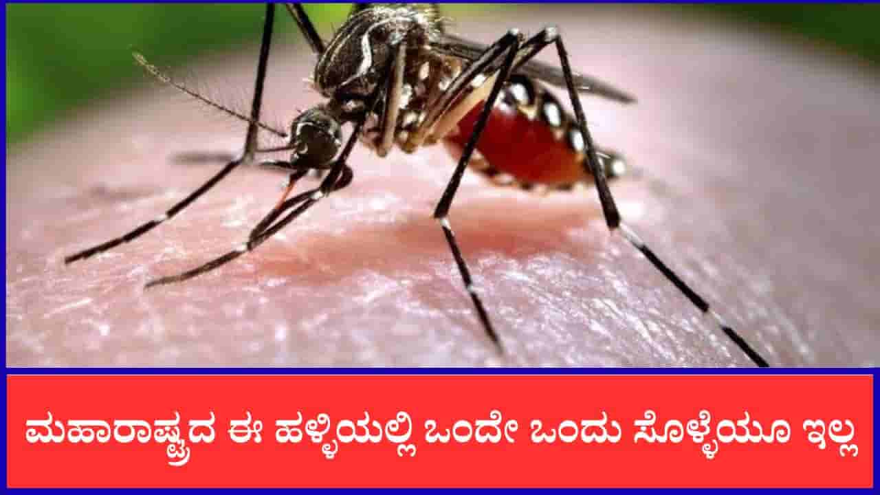 ಮಹಾರಾಷ್ಟ್ರದ ಈ ಹಳ್ಳಿಯಲ್ಲಿ ಒಂದೇ ಒಂದು ಸೊಳ್ಳೆಯೂ ಇಲ್ಲ, ಸೊಳ್ಳೆ ಹಿಡಿದು ಕೊಟ್ರೆ ಸಿಗುತ್ತೆ 400 ರೂ. ಬಹುಮಾನ