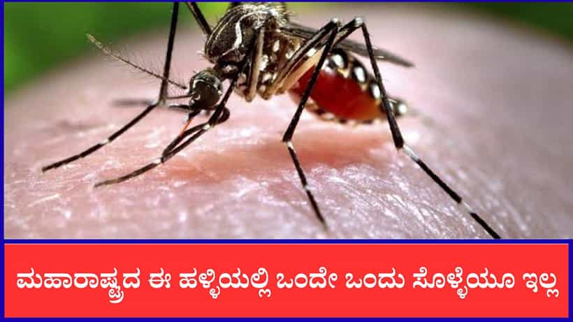 ಮಹಾರಾಷ್ಟ್ರದ ಈ ಹಳ್ಳಿಯಲ್ಲಿ ಒಂದೇ ಒಂದು ಸೊಳ್ಳೆಯೂ ಇಲ್ಲ, ಸೊಳ್ಳೆ ಹಿಡಿದು ಕೊಟ್ರೆ ಸಿಗುತ್ತೆ 400 ರೂ. ಬಹುಮಾನ