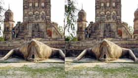 ಭಾರತದ ಏಕೈಕ 'ಕಪ್ಪೆ ದೇವಾಲಯ'; ಇಲ್ಲಿದೆ ಬಣ್ಣ ಬದಲಾಯಿಸುವ ಶಿವಲಿಂಗ!