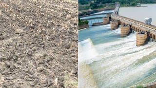 ಮಳೆರಾಯನ ಮುನಿಸು: KRS ನೀರಿನ ಮಟ್ಟ ಕುಸಿತ; ಮಂಡ್ಯದಲ್ಲಿ ಕೃಷಿ ಚಟುವಟಿಕೆ ಸಂಪೂರ್ಣ ಸ್ತಬ್ಧ