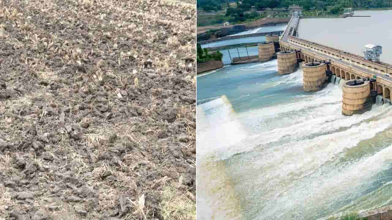 ಮಳೆರಾಯನ ಮುನಿಸು: KRS ನೀರಿನ ಮಟ್ಟ ಕುಸಿತ; ಮಂಡ್ಯದಲ್ಲಿ ಕೃಷಿ ಚಟುವಟಿಕೆ ಸಂಪೂರ್ಣ ಸ್ತಬ್ಧ