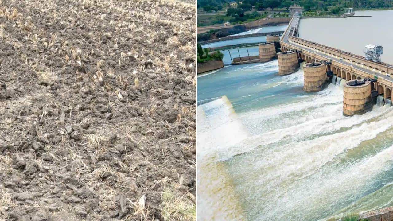 ಮಳೆರಾಯನ ಮುನಿಸು: KRS ನೀರಿನ ಮಟ್ಟ ಕುಸಿತ; ಮಂಡ್ಯದಲ್ಲಿ ಕೃಷಿ ಚಟುವಟಿಕೆ ಸಂಪೂರ್ಣ ಸ್ತಬ್ಧ ಮಳೆರಾಯನ ಮುನಿಸು: KRS ನೀರಿನ ಮಟ್ಟ ಕುಸಿತ; ಮಂಡ್ಯದಲ್ಲಿ ಕೃಷಿ ಚಟುವಟಿಕೆ ಸಂಪೂರ್ಣ ಸ್ತಬ್ಧ