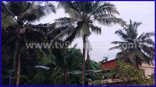 Karnataka Weather Forecast: ಕರಾವಳಿ ಜಿಲ್ಲೆಗಳಿಗೆ ಆರೆಂಜ್ ಅಲರ್ಟ್, ಶಿವಮೊಗ್ಗ-ಚಿಕ್ಕಮಗಳೂರಲ್ಲೂ ಭಾರೀ ಮಳೆ ಮುನ್ಸೂಚನೆ